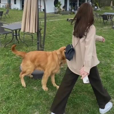 血口逃生